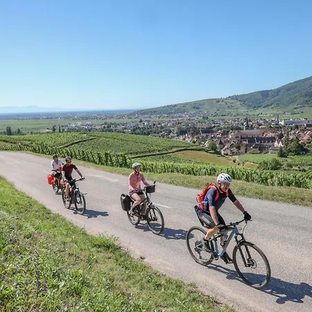 Ibis Styles Nord Hotel