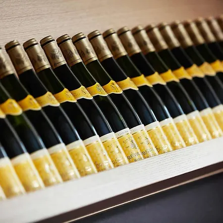 酒店 科尔马北宜必思尚品酒店 科尔马