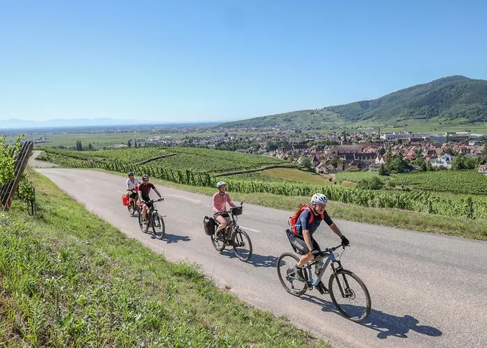 イビス スタイル ノール ホテル