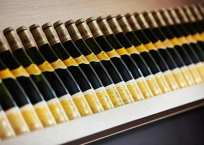 ホテル イビス スタイル ノール コルマール