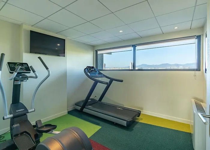 イビス スタイル ノール 3* コルマール