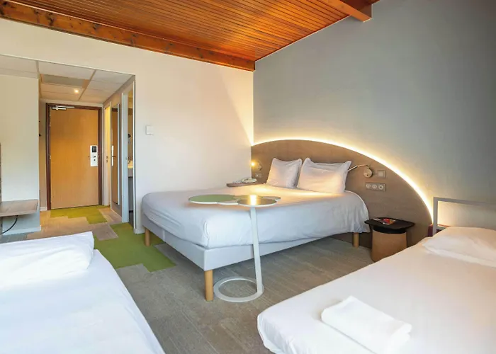 Ibis Styles Nord Hotel 3*